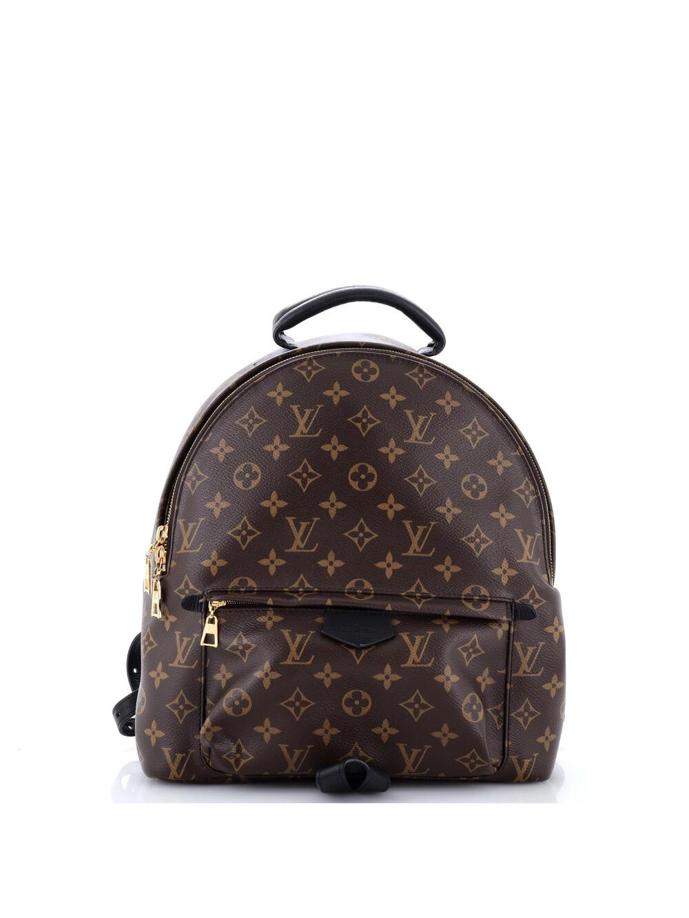 Louis Vuitton Palm Springs Backpack #354081L22B
